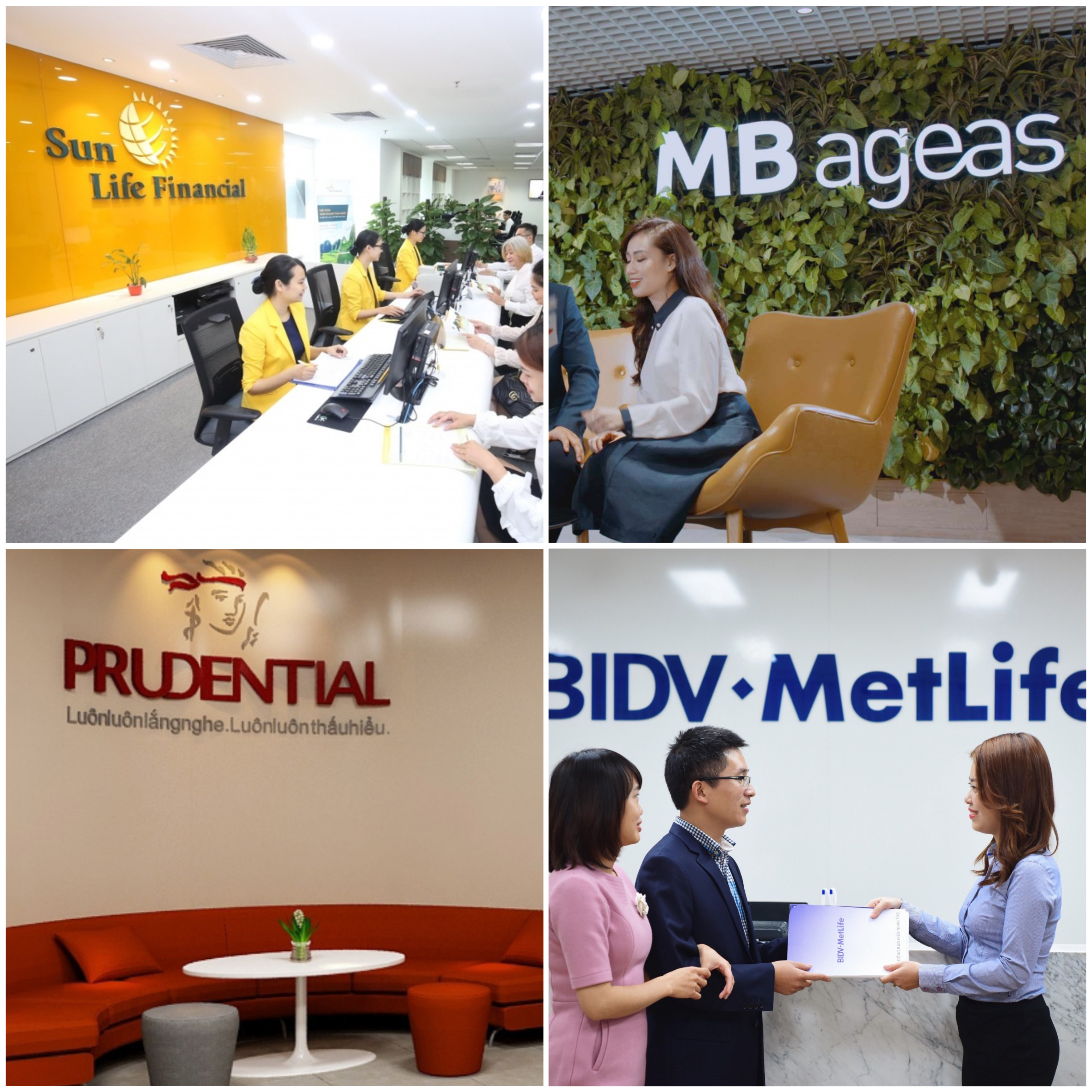 4 công ty bảo hiểm phải bổ sung hàng nghìn tỷ đồng do hạch toán sai