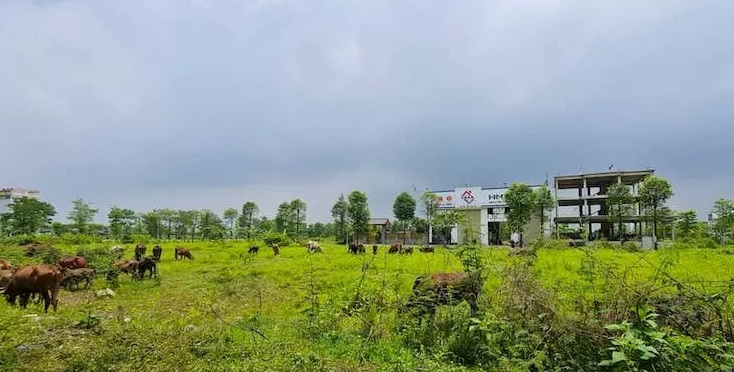 Loạt công trình sai phạm, Khu đô thị Thanh Hà Cienco5 sẽ bị xử lý ra sao