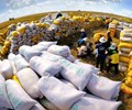 Nhiều điểm sáng trong xuất khẩu gạo 
