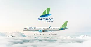 Bamboo Airways có tân Chủ tịch Hội đồng Quản trị