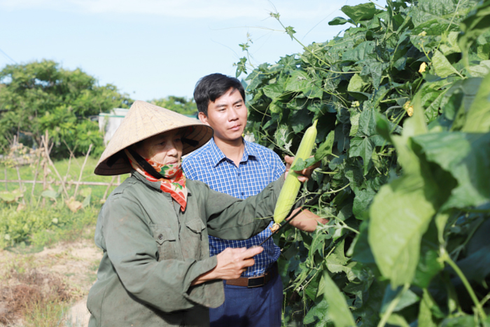 Kiểm tra, giám sát thực hiện các chương trình mục tiêu quốc gia