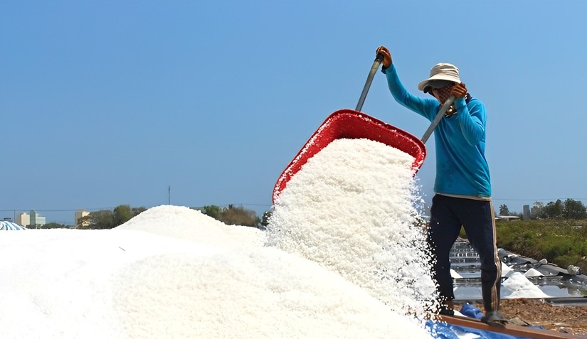 Nghề muối sẽ mai một nếu giá trị của sản phẩm quá thấp