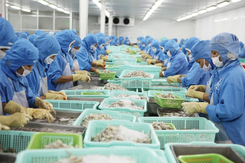 Doanh nghiệp thủy sản cần tiếp vốn trước cơ hội bứt tốc