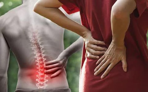 Tình trạng đau thắt lưng và giải pháp cải thiện hiệu quả từ Cốt Thoái Vương