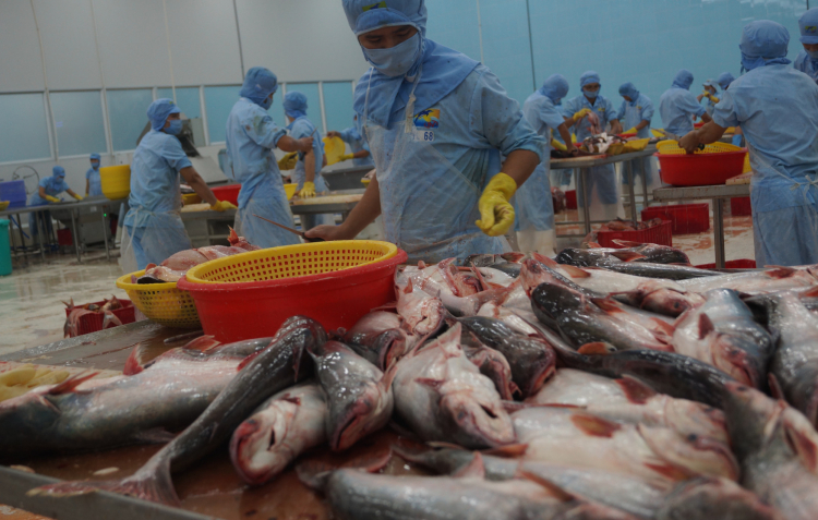 Gói tín dụng 15.000 tỷ đồng cho lâm, thủy sản, lãi suất thấp hơn 1-2% so với thị trường