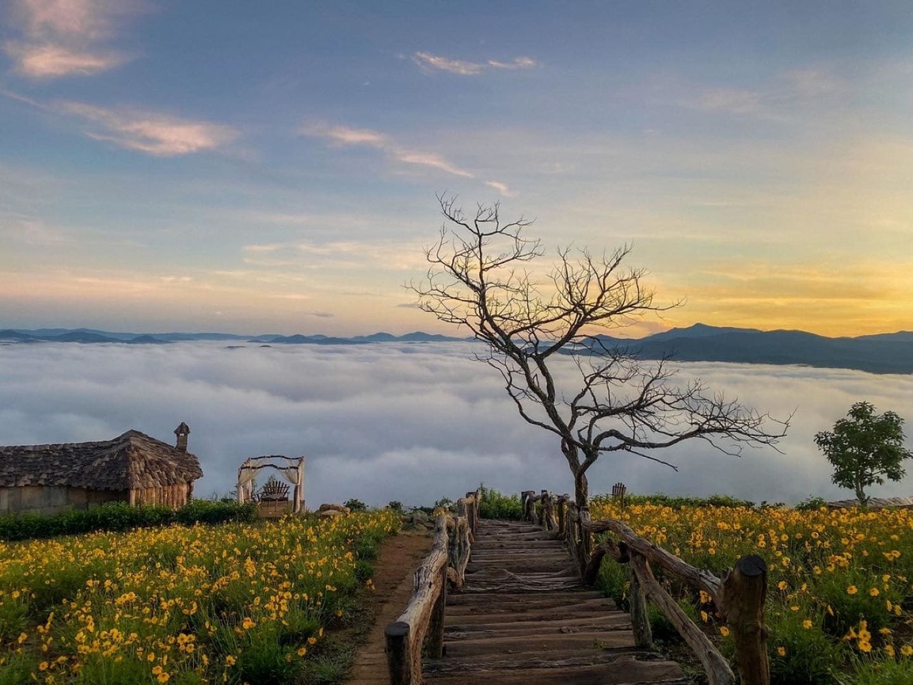 Đà Lạt Chấn chỉnh, xử lý tình trạng kinh doanh bát nháo tại các khu điểm du lịch “săn mây”