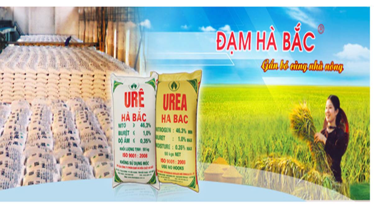 Kinh doanh dưới giá vốn, Đạm Hà Bắc lỗ 350 tỷ