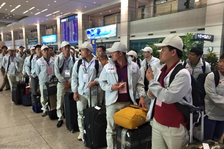 Nhiều công ty đóng tàu Hàn Quốc cần lao động Việt Nam