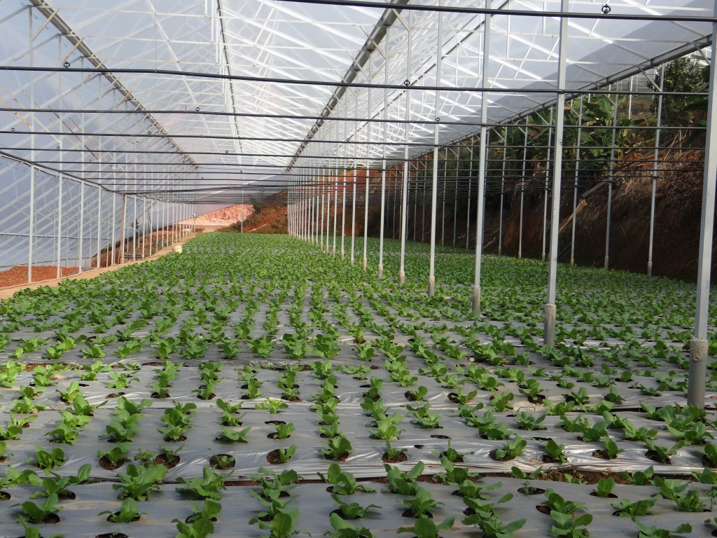 Rà soát các điểm nghẽn, cấp bách tháo gỡ khó khăn cho sản xuất, kinh doanh