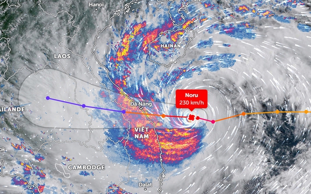 Truyền, phát sai lệch bản tin dự báo, cảnh báo thiên tai bị phạt đến 100 triệu đồng