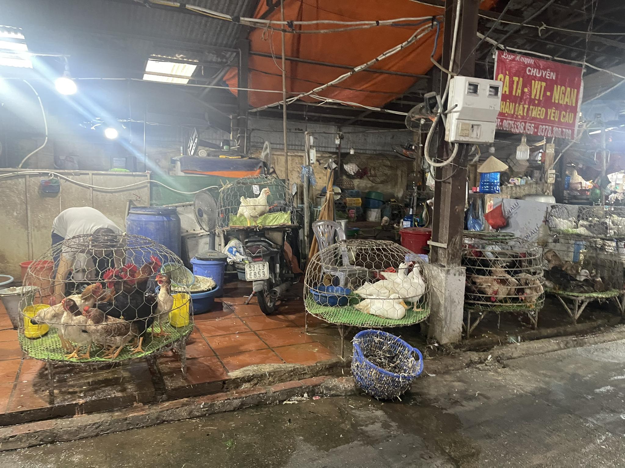 Tràn lan giết mổ gia cầm tại các chợ truyền thống, tiềm ẩn nhiều dịch bệnh