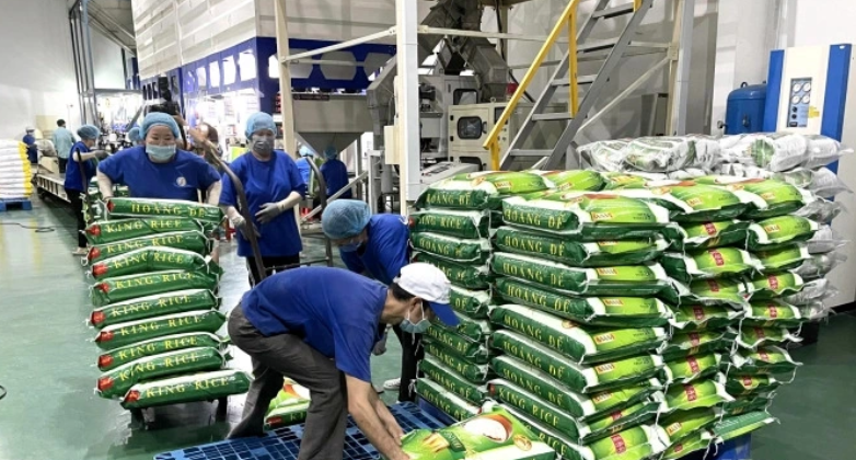 Xuất khẩu gạo tăng kỷ lục, nhưng doanh nghiệp vẫn thua lỗ