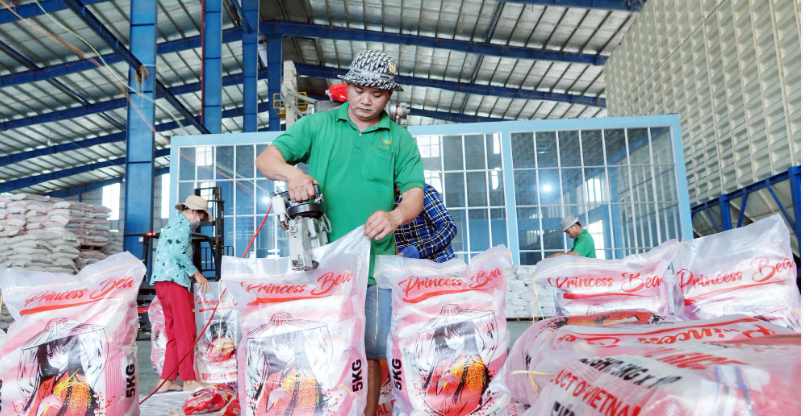 Xuất khẩu rau quả, gạo sẽ tiếp tục bứt tốc trong những tháng cuối năm