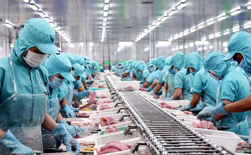 Thủy sản, dệt may bớt khó trong những tháng cuối năm