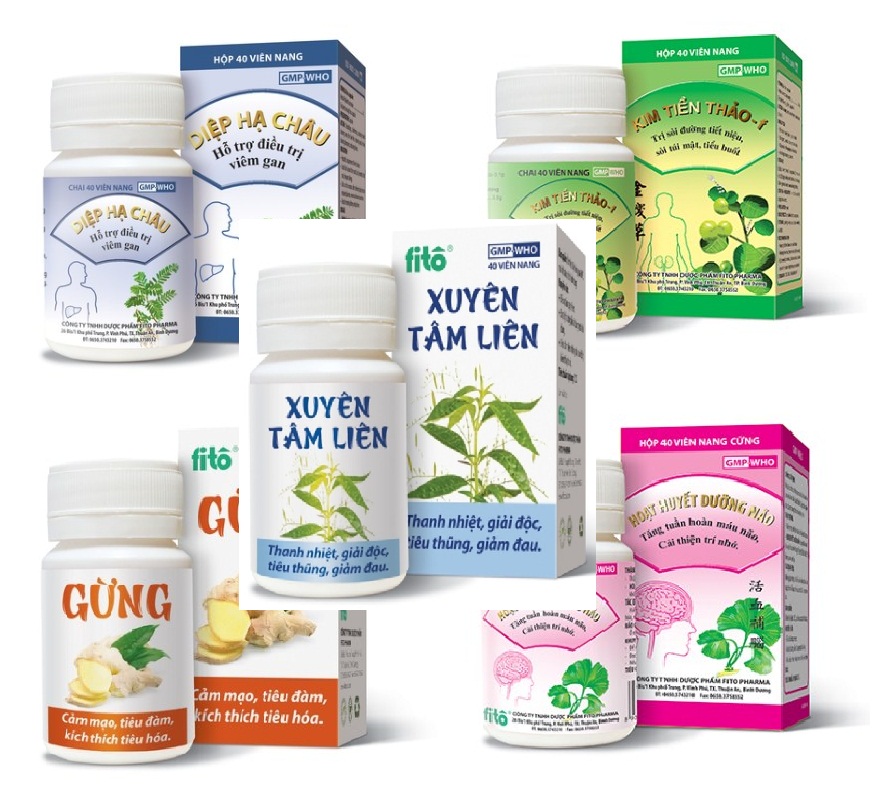 Vi phạm về thuốc, Công ty TNHH dược phẩm FitoPharma  bị xử phạt 120 triệu