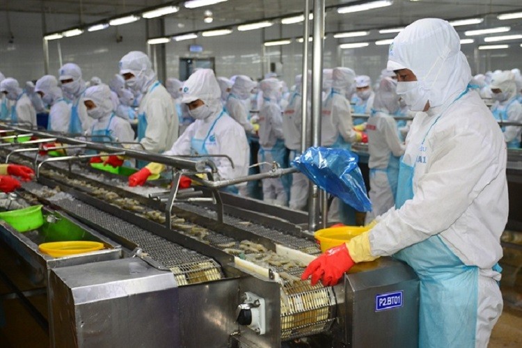 Vượt qua Mỹ, Nhật Bản trở thành thị trường nhập khẩu lớn nhất của thủy sản Việt Nam