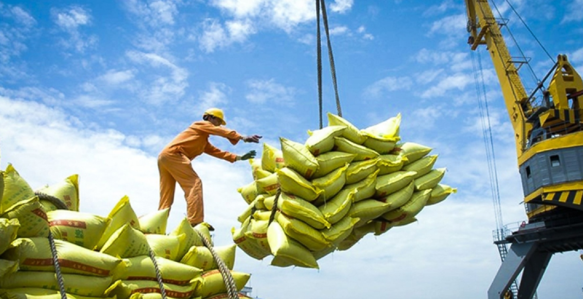 Cân đối giữa bài toán chớp thời cơ và tăng trưởng bền vững trong xuất khẩu gạo