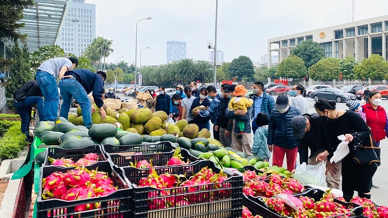 Giải quyết tình trạng manh mún, nhỏ lẻ, tự phát để thoát lời nguyền ‘được mùa rớt giá’