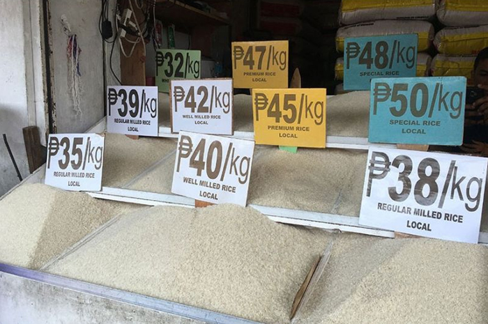 Giá gạo thế giới đang ở đỉnh 15 năm