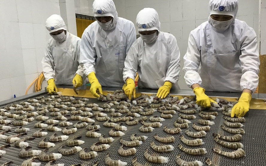 Xuất khẩu tôm Việt Nam sang Nhật Bản giảm sâu theo đà giảm của đồng yên