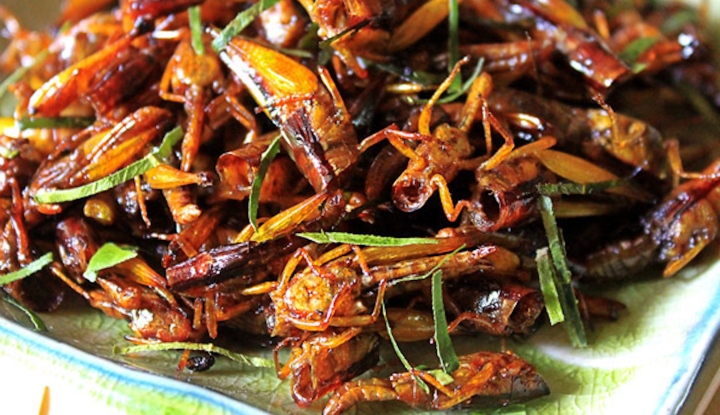 Một người phụ nữ tại Nghệ An tử vong sau khi ăn châu chấu rang