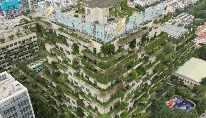 Country Garden sẽ bị xóa tên khỏi Hang Seng Index vào ngày 4 tháng 9