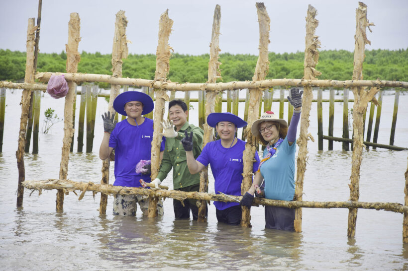 Đẩy mạnh dự ánCánh rừng Net Zero Vinamilk khoanh nuôi tái sinh 25ha rừng ngập mặn Cà Mau