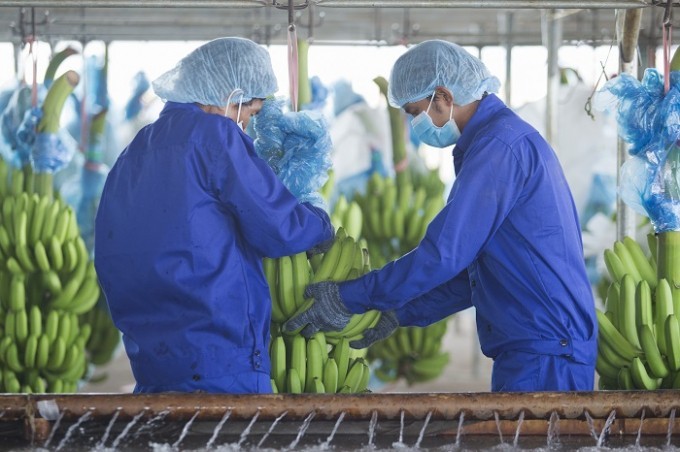 Hoàng Anh Gia Lai (HAG) chào bán cổ phiếu để lấy tiền trả nợ