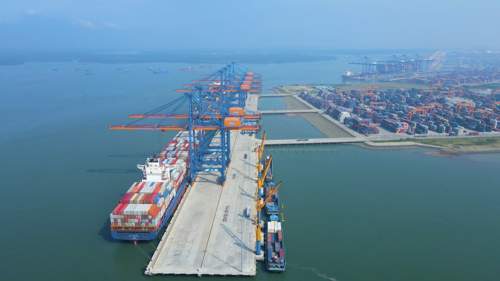 3 mặt hàng nông sản có kim ngạch cao nhất 10 năm