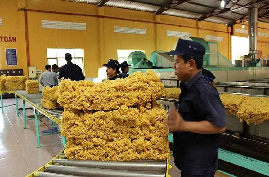 Xuất khẩu cao su 8 tháng năm 2023 thu về 1,59 tỷ USD