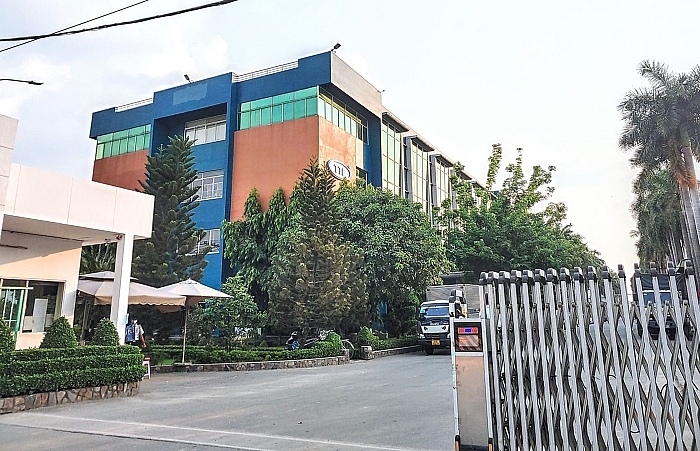 Lỗ thêm 11 tỷ sau kiểm toán, cổ phiếu Gỗ Trường Thành (TTF) bị giữ nguyên diện cảnh báo