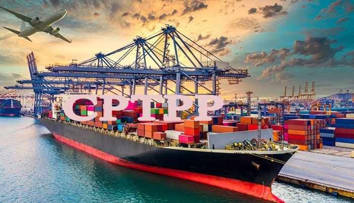 Bổ sung Biểu thuế xuất khẩu ưu đãi đặc biệt của Việt Nam để thực hiện Hiệp định CPTPP