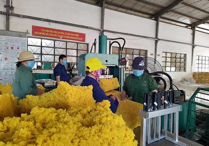 Kon Tum đẩy mạnh phát triển công nghiệp, nhất là công nghiệp chế biến nông sản, năng lượng tái tạo