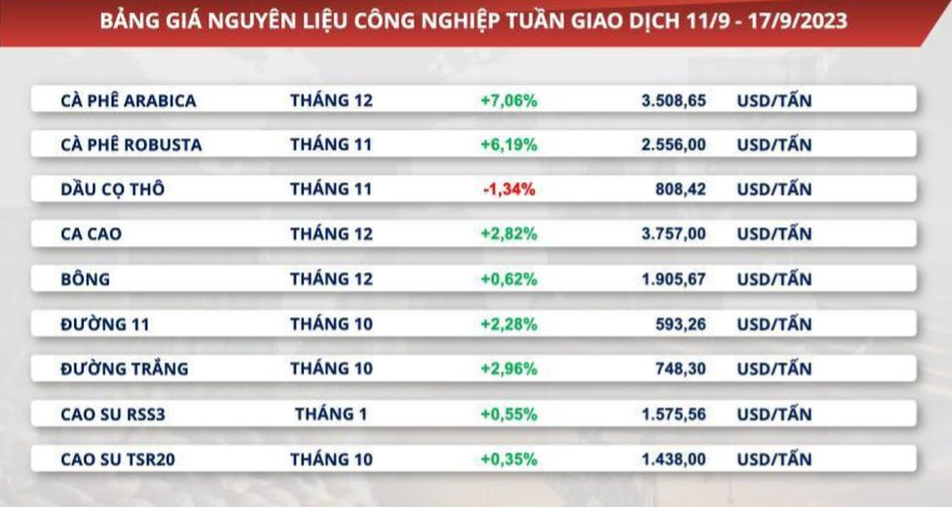Giá cà phê xuất khẩu tăng mạnh, người trồng và doanh nghiệp xuất khẩu có hưởng lợi