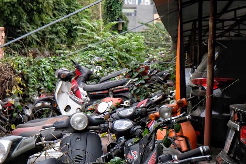 Cận cảnh ‘nghĩa địa xe cũ’ ở Hà Nội Cần có phương án xử lý để không lãng phí