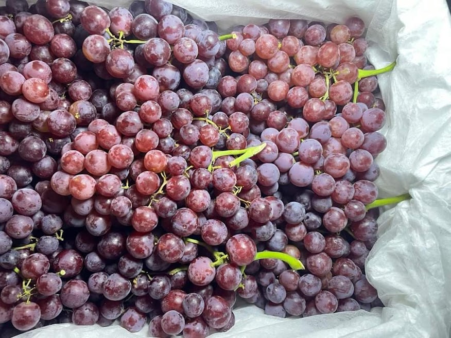 Nho kẹo đỏ Trung Quốc đổ bộ thị trường, giá rẻ bất ngờ