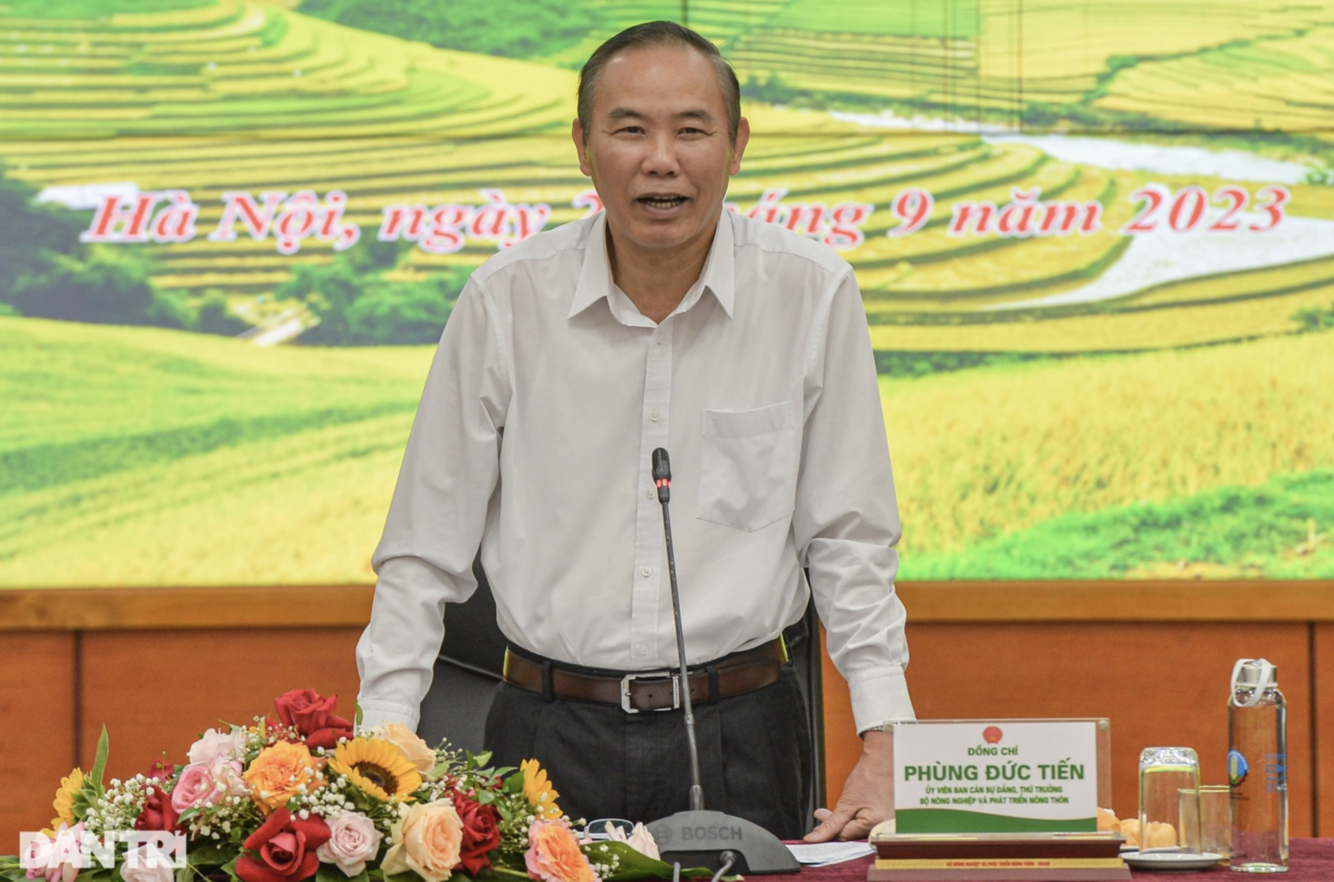 Kiến nghị tăng mức xử phạt đối với hành vi nuôi chó thả rông, để chó cắn người