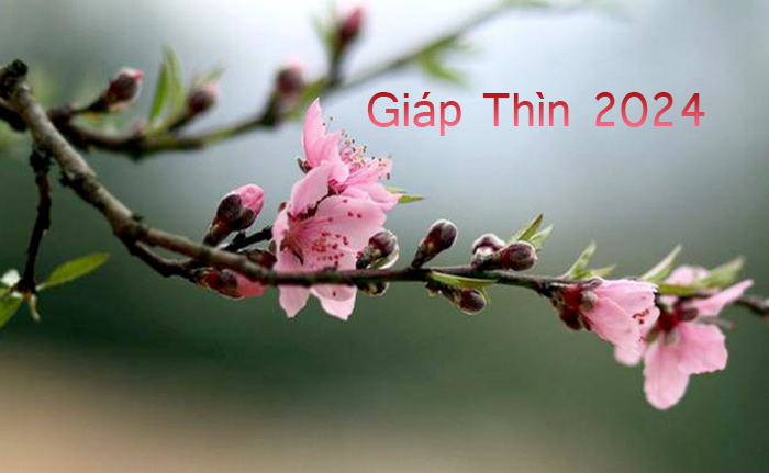 Bộ LĐTBXH Chọn phương án phù hợp cho người lao động nghỉ Tết Giáp Thìn 2024