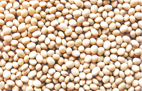 Thị trường hàng hoá 102 Giá nhiều mặt hàng nông sản đồng loạt giảm mạnh