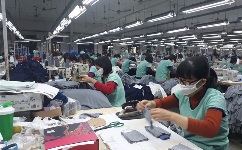 Cổ đông May Thanh Trì (TTG) bị phạt tiền vì không báo cáo giao dịch