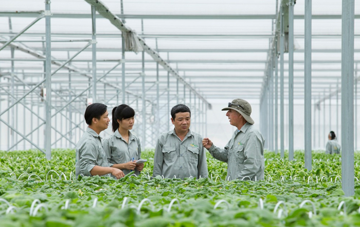 Diễn đàn Kinh tế hợp tác, hợp tác xã sẽ được tổ chức trong tháng 10