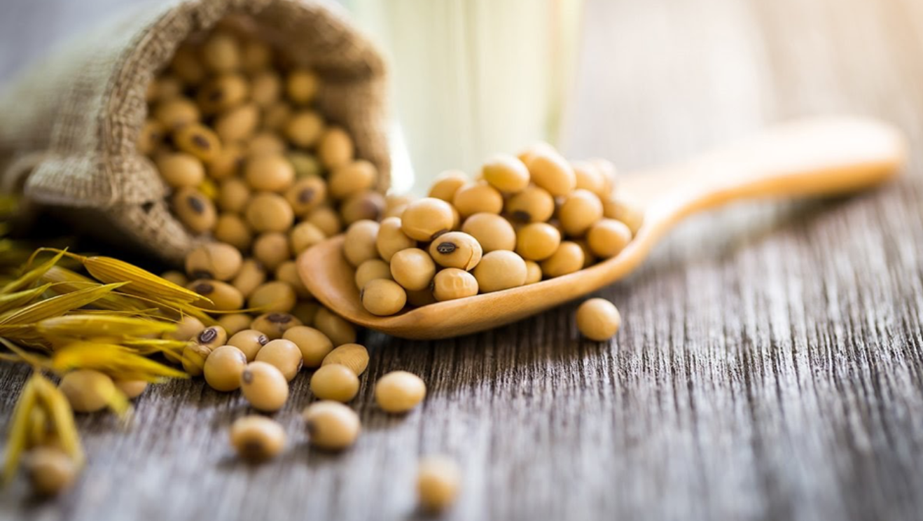 Thị trường hàng hóa 1310 Lực mua áp đảo trên nhóm nông sản và nguyên liệu công nghiệp