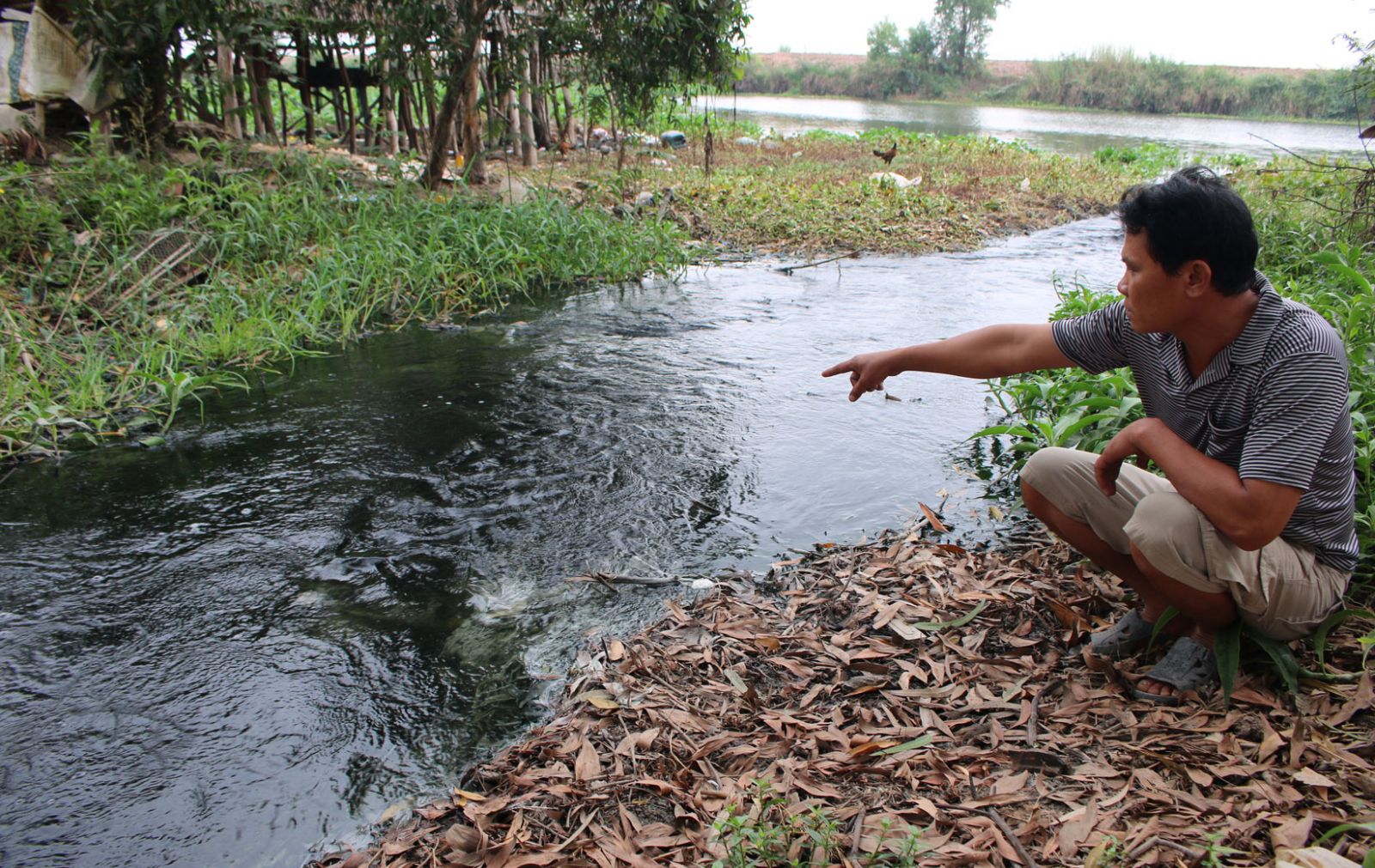 Lâm Đồng Xả thải sai quy định, một trang trại chăn nuôi bị xử phạt 150 triệu đồng