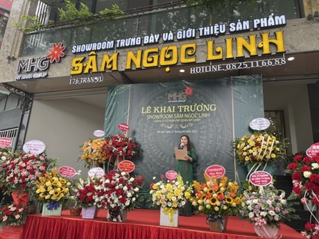 Doanh nhân Phạm Mỹ Hạnh bị bắt với cáo buộc lừa đảo hơn 1.200 tỷ trong dự án Sâm Ngọc Linh