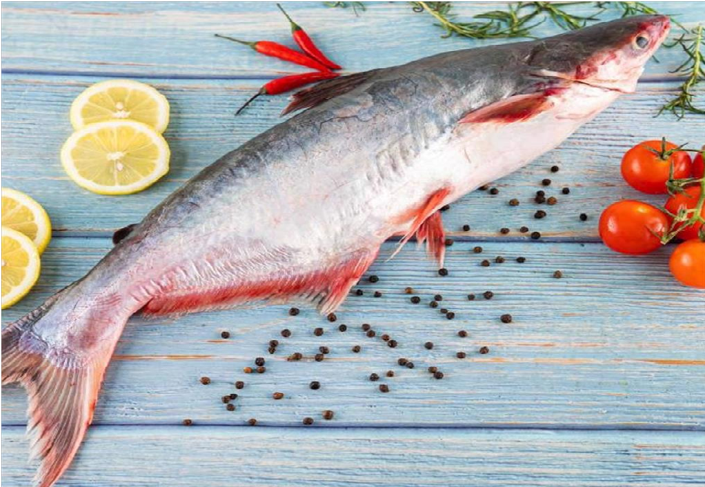 Cơ hội xuất khẩu cá tra sang thị trường Đức