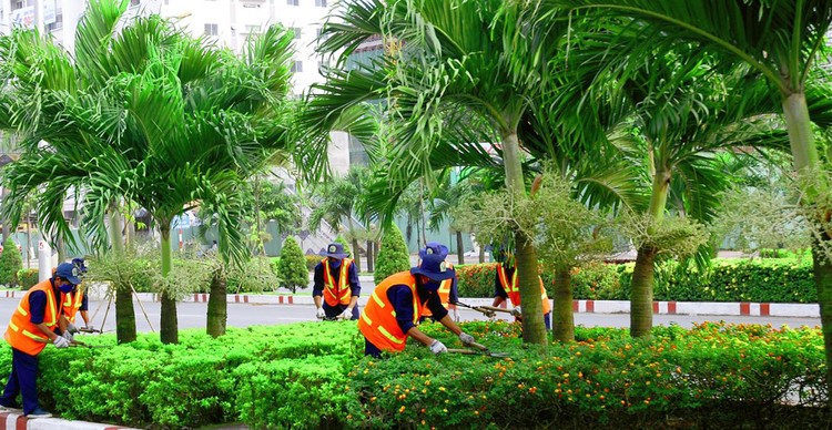 Thu hồi hơn 15ha đất của Môi trường Sonadezi (SZE) tại Đồng Nai