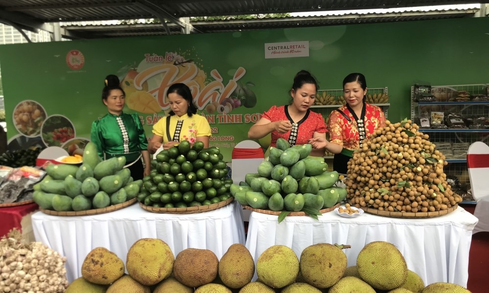 Xây dựng chính sách, tìm đầu ra cho nông sản miền núi, vùng dân tộc