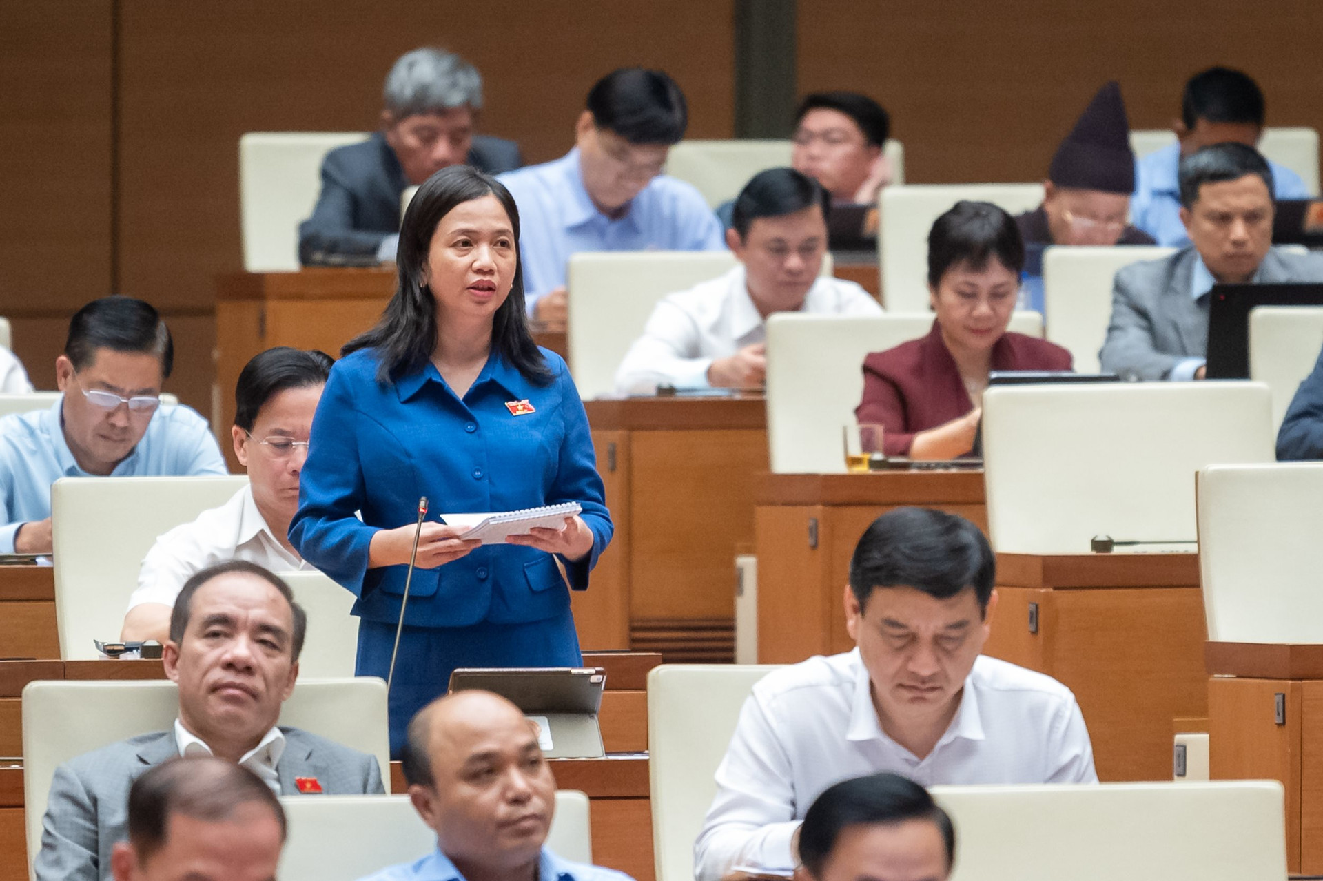 ĐBQH đề xuất tạo hành lang pháp lý phát triển lưu trữ tư nhân