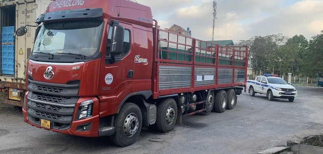 Quảng Ninh Sử dụng biển số giả vận chuyển 450kg cá tầm nhập lậu