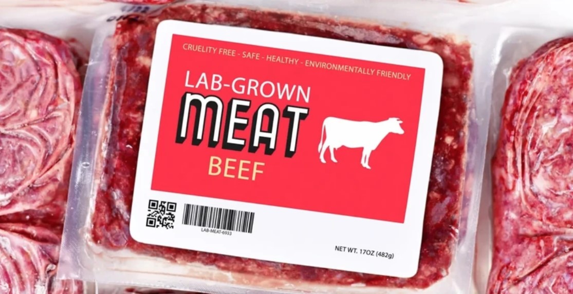 Ý là quốc gia đầu tiên trên thế giới cấm thịt nhân tạo